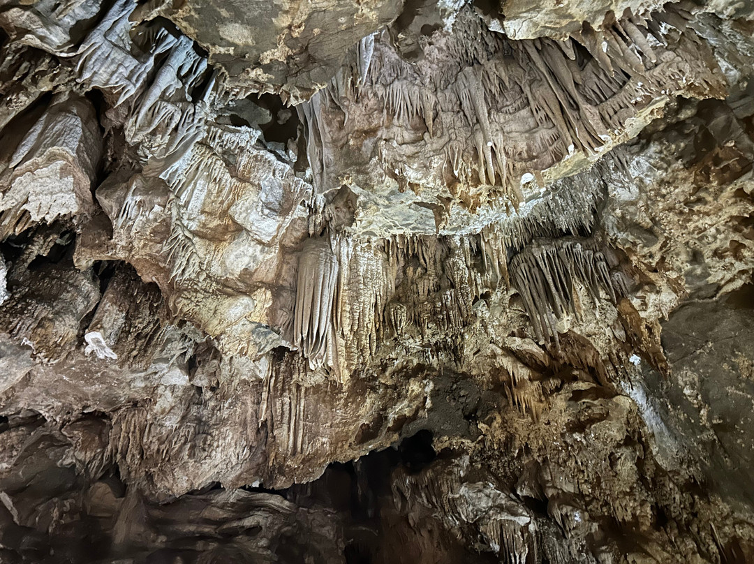 Grotte Is Zuddas-Santadi必去景点