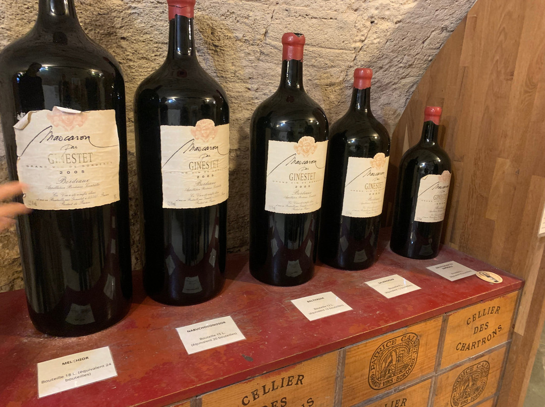 Musée Du Vin Et Du Négoce-波尔多必去景点
