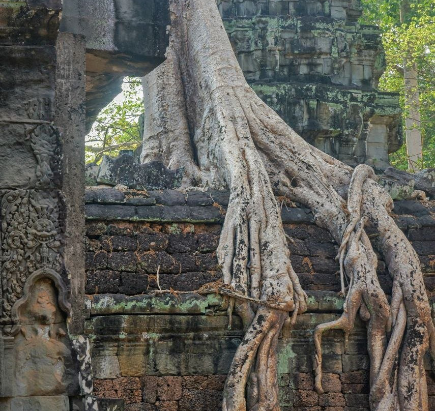 Angkor Wat Tuktuk Driver By Kakada-暹粒必去景点