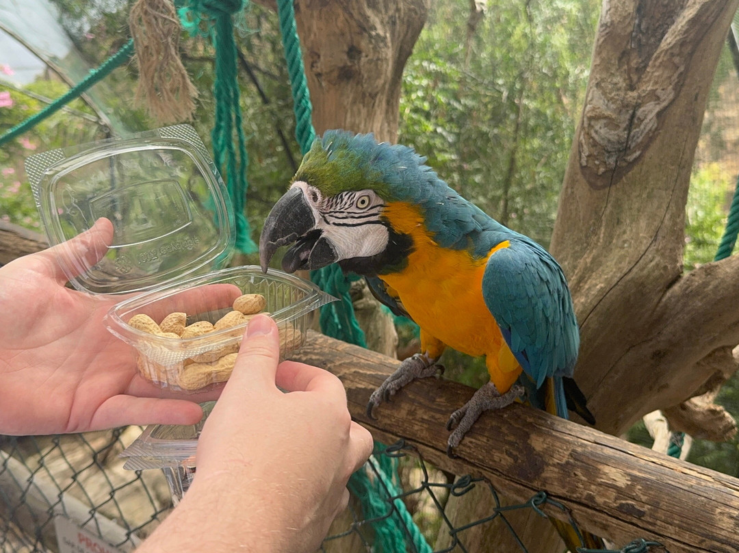 Maroparque Isla de La Palma-Brena Alta必去景点