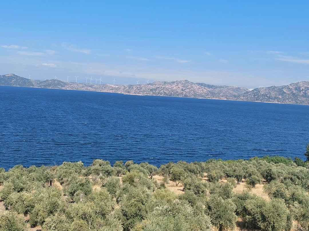 Lake Bafa Nature Park-Milas必去景点
