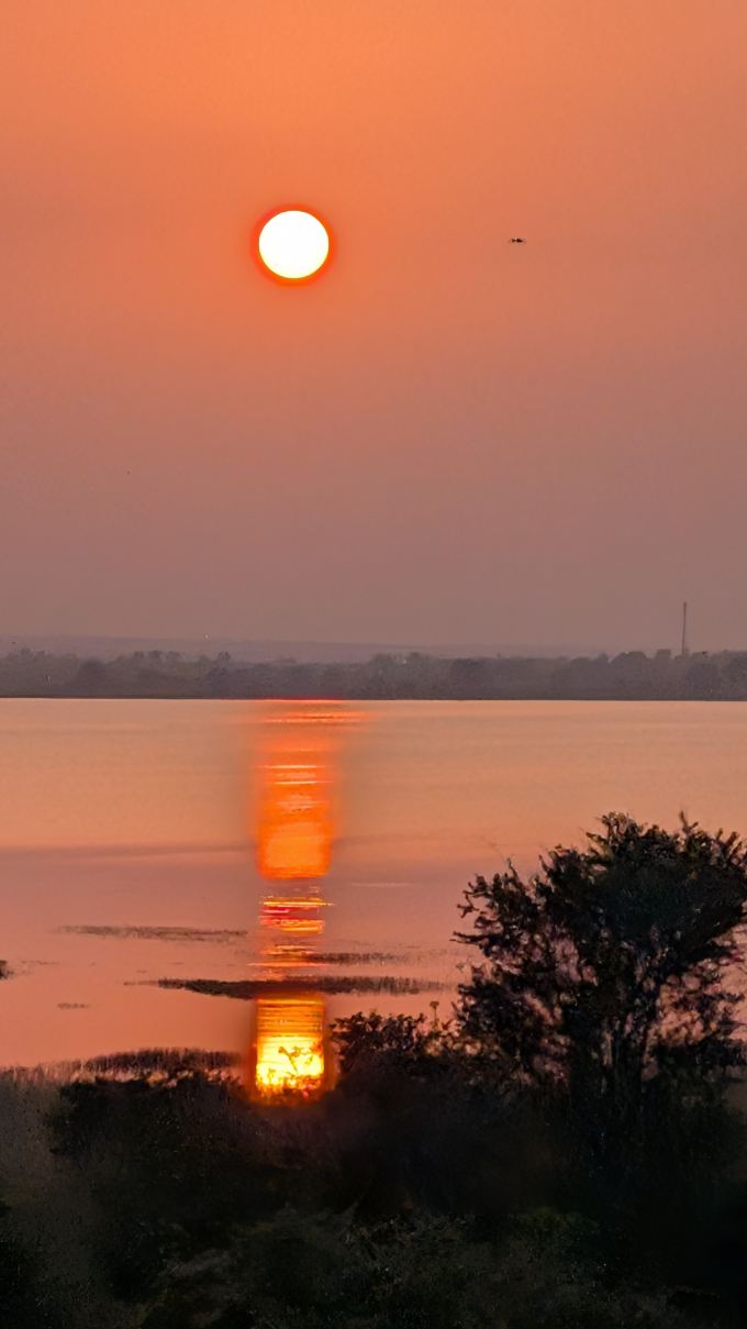 Irai Safari Retreat-旅行者