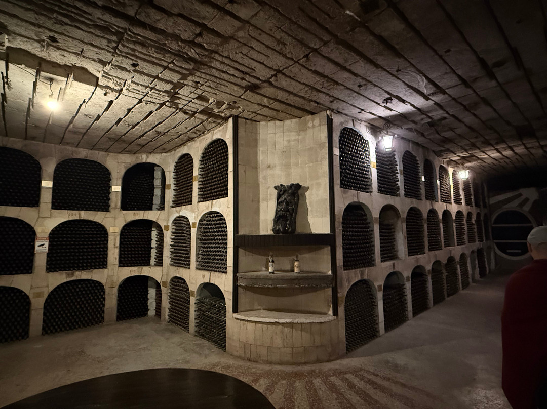 Mileștii Mici Winery-Milestii Mici必去景点