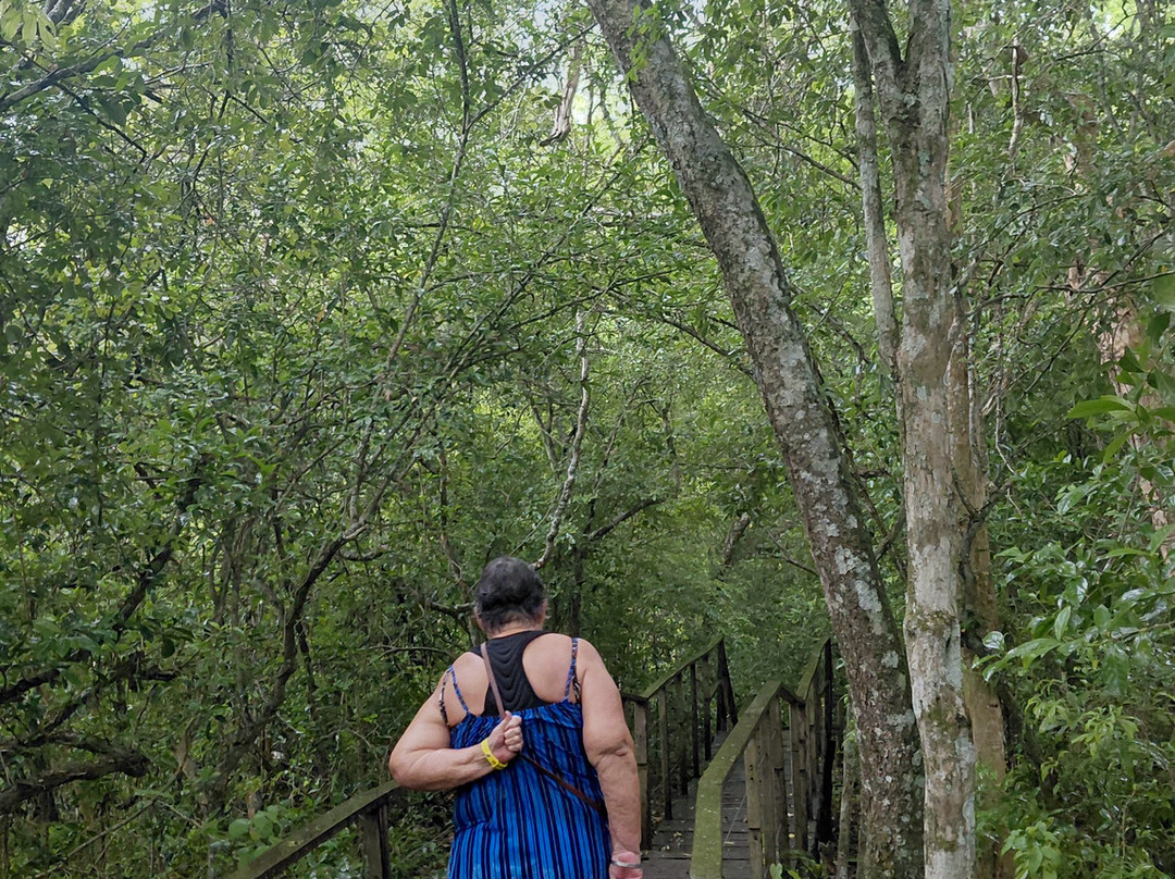 Parque das Cachoeiras-博尼图必去景点