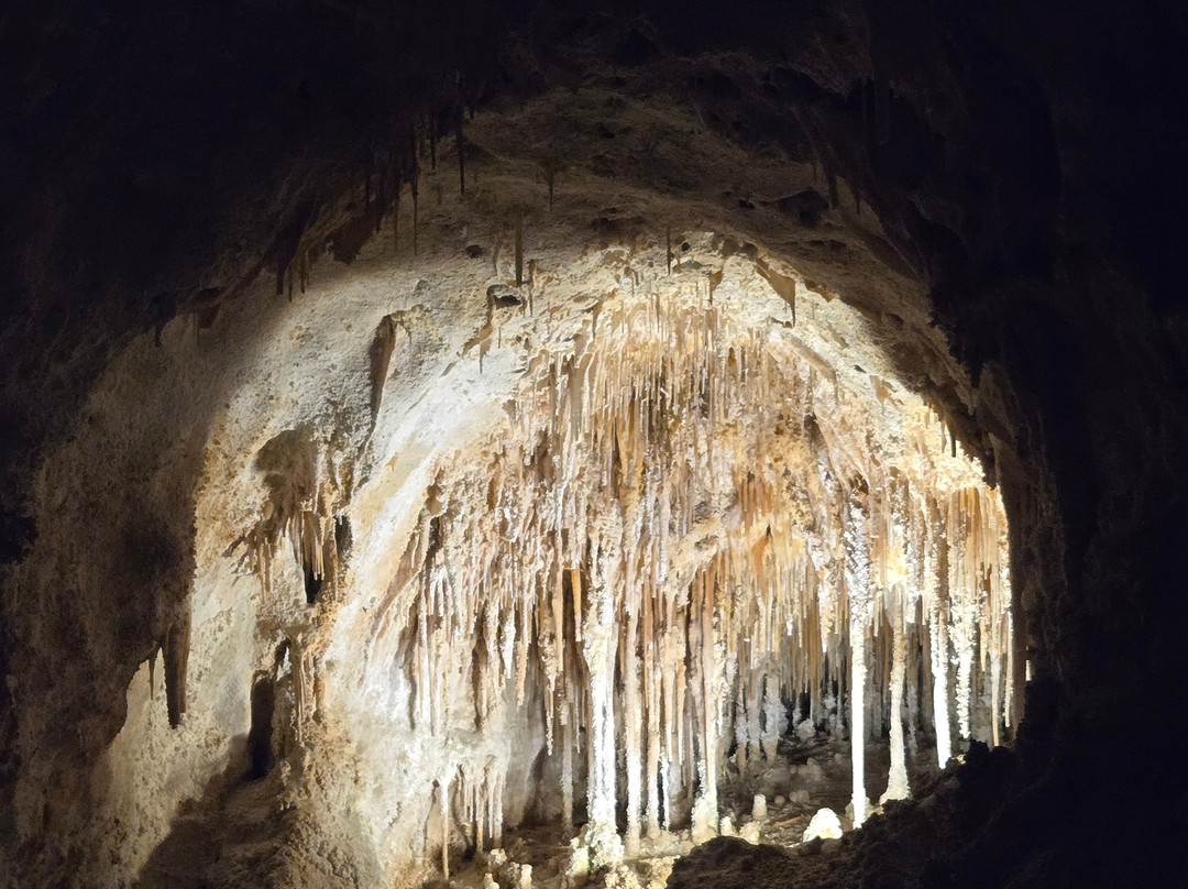 Carlsbad Caverns Natural Entrance Tour-卡尔斯巴德洞穴国家公园必去景点