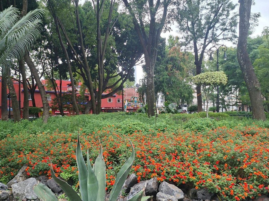科约阿坎区-墨西哥城必去景点