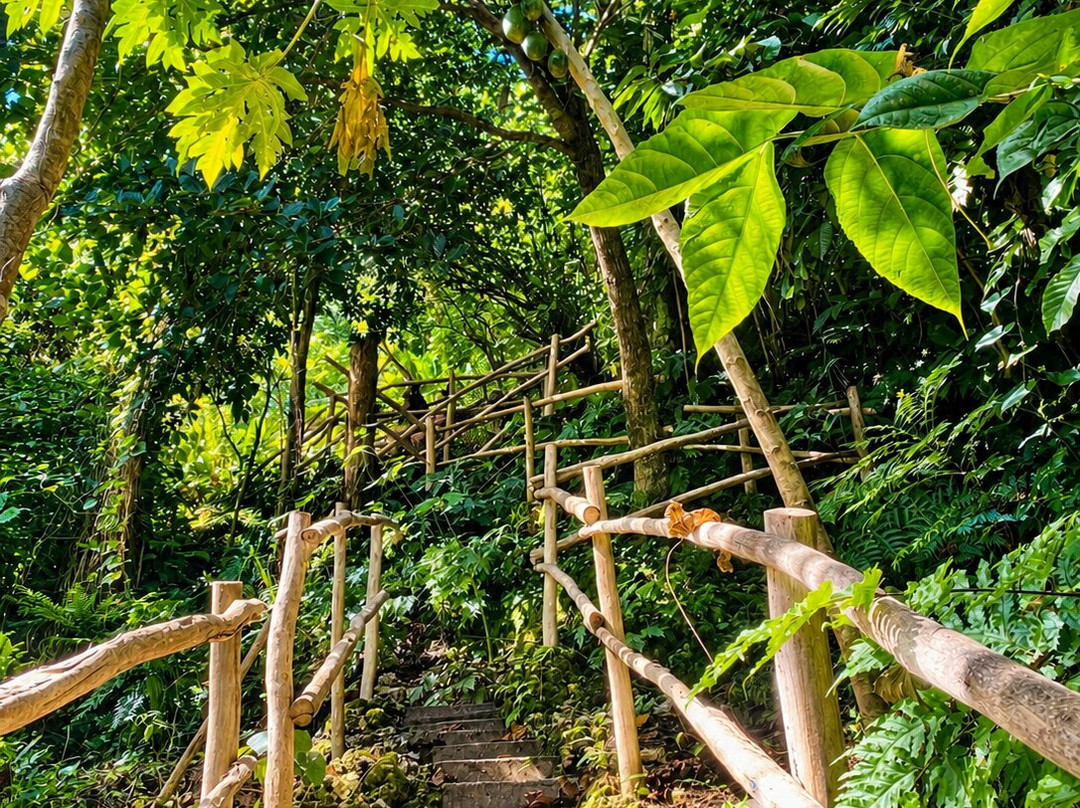 Freshwater Plantation Tour-Aore Island必去景点