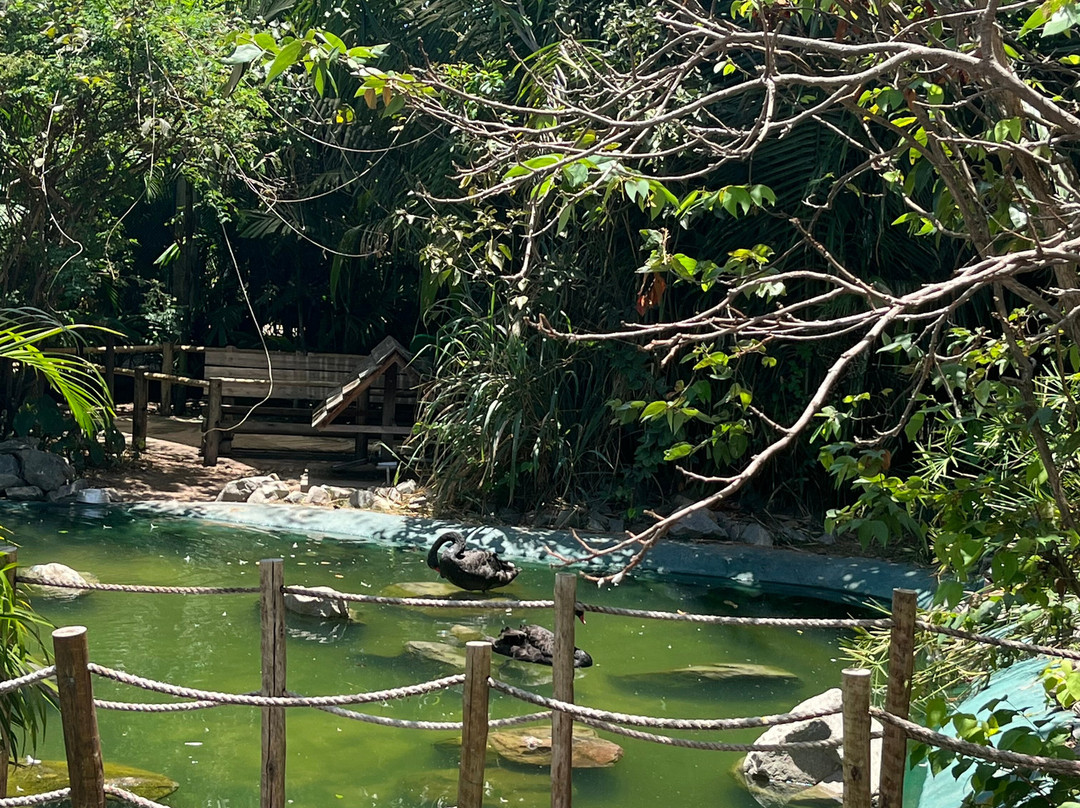 Parque Arvorar-Aquiraz必去景点