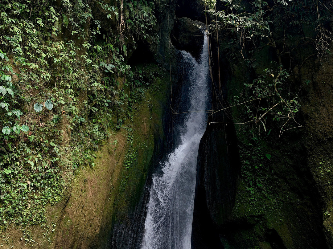 Bali Local Tour Guide-Buleleng必去景点