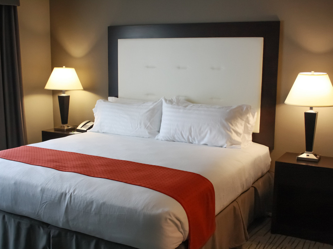 Holiday Inn & Suites Davenport By IHG主图