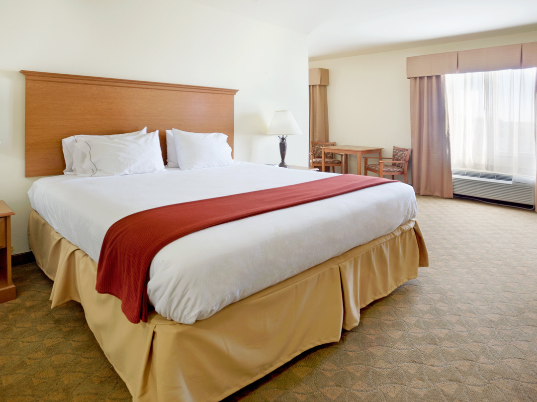 Ciudad Miguel Aleman酒店住宿-Holiday Inn Express & Suites Zapata By IHG