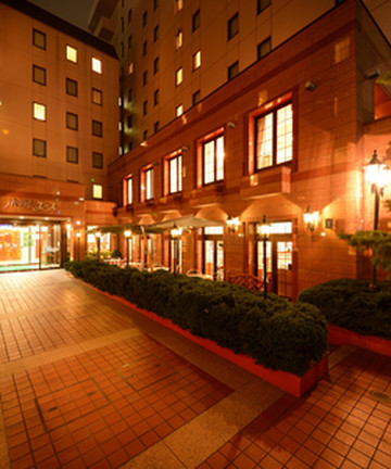 盛冈爱斯酒店酒店图片