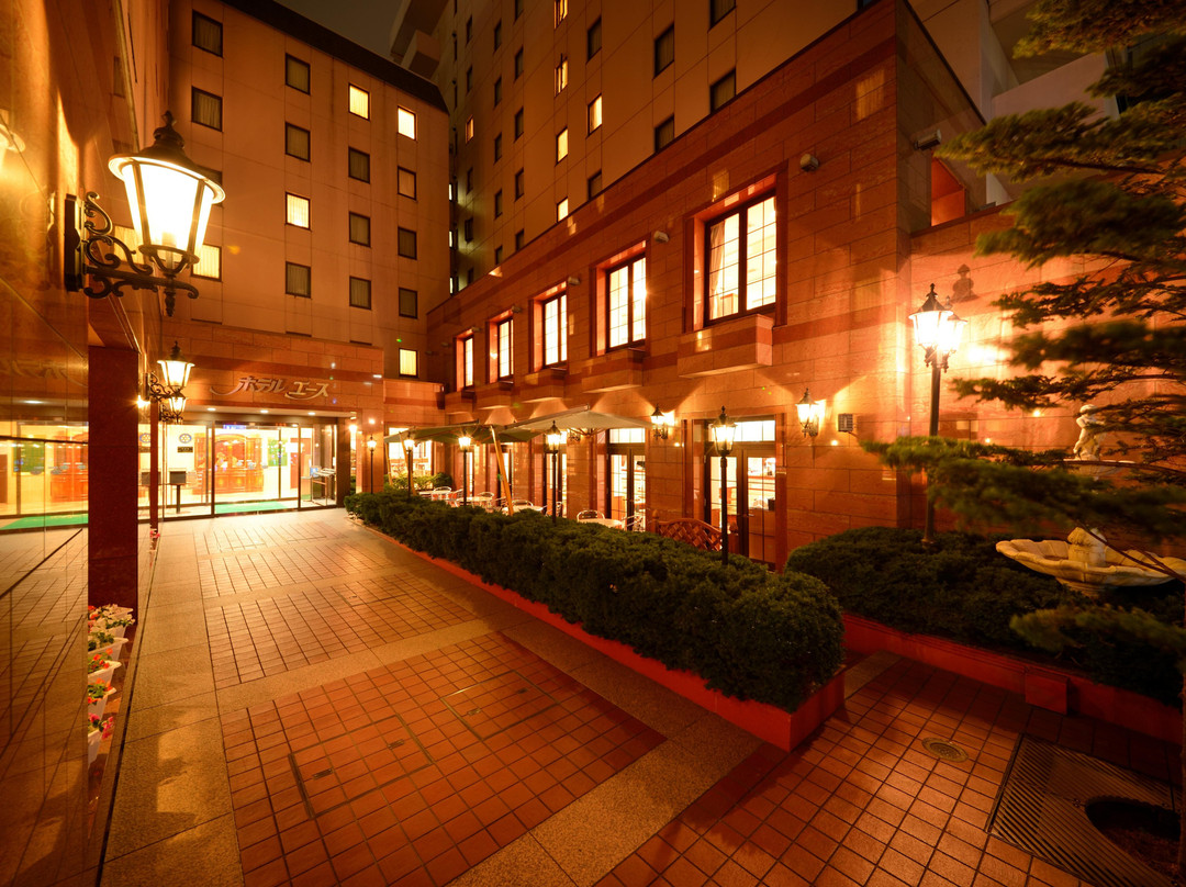 盛冈市酒店住宿-盛冈爱斯酒店