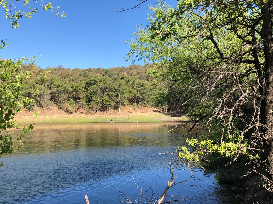 Parker Canyon Lake景点图片