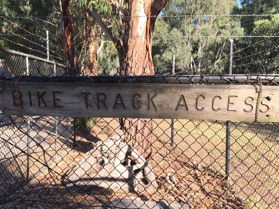 Burke rd billabong reserve-Kew East必去景点