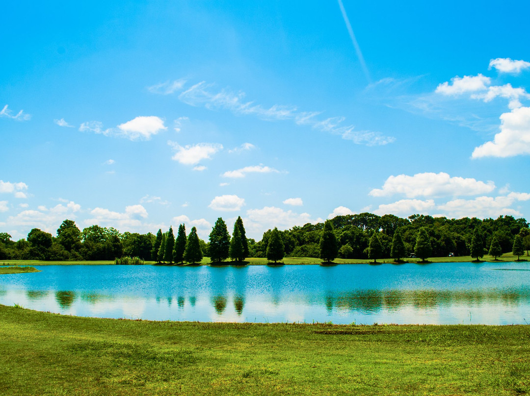 Rogers Park Golf Course-坦帕必去景点