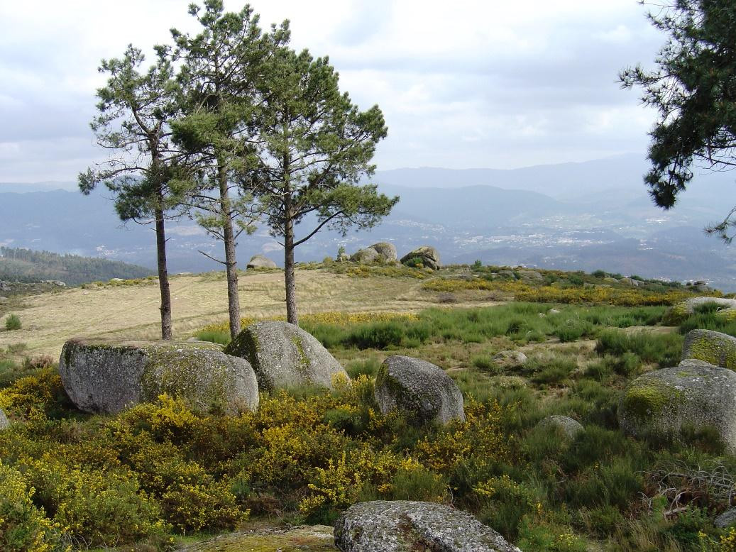 Serra do Ladário景点图片