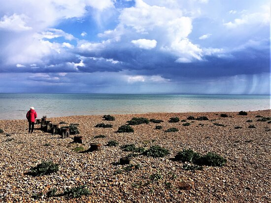 Fairlight Beach And Cliffs景点图片