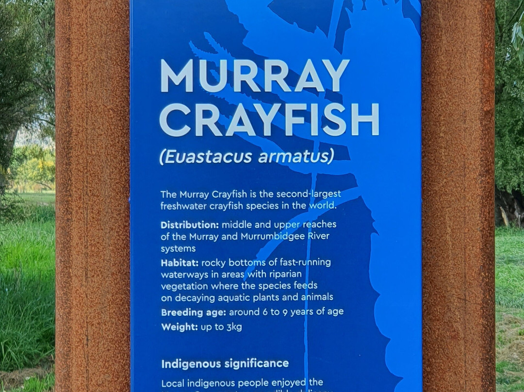 Crayfish Sculpture景点图片