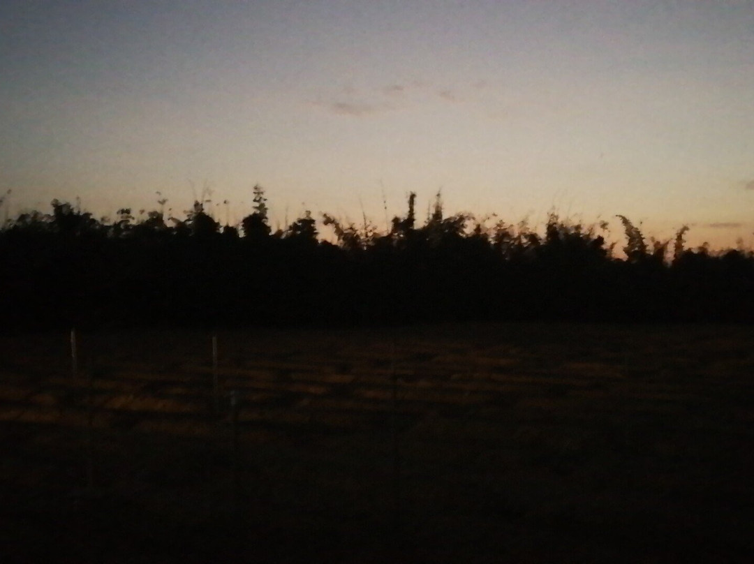 Tourakom旅游攻略图片