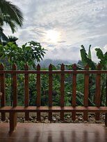 Rainforest Lodge主图