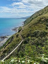 Paekakariki Escarpment Walkway景点图片