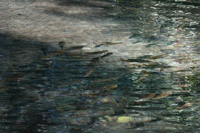 Circuito Ojo de Agua Baldiosera-塞莱斯顿必去景点