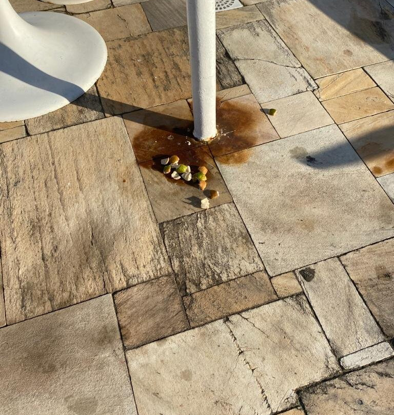 Hotel Samba Laguna Tourist主图