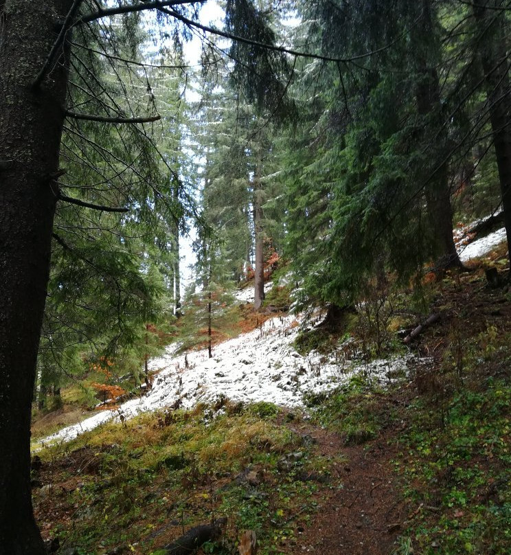 Nadarska cave-Mogilitsa必去景点