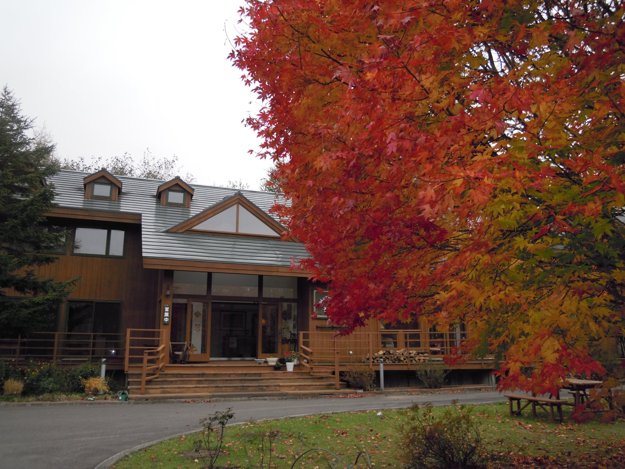 Woody Hotel & Restaurant Yumekobou-浴室