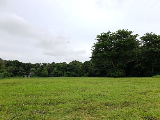 Changi Point Boardwalk-新加坡必去景点