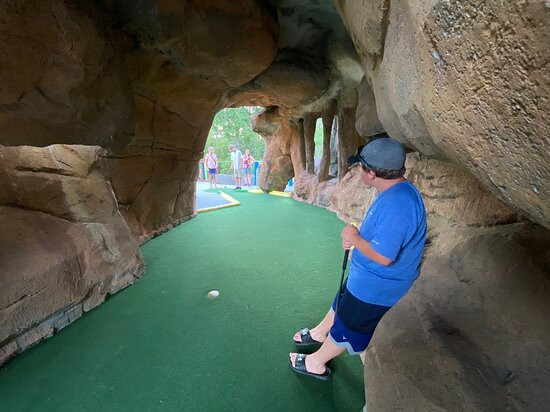 The Golfin Dolphin景点图片