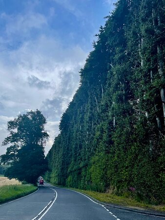 Meikleour Beech Hedges-Meikleour必去景点