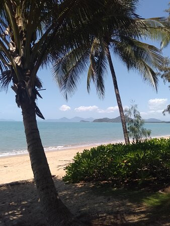 Palm Cove Spa & Beauty-棕榈湾必去景点