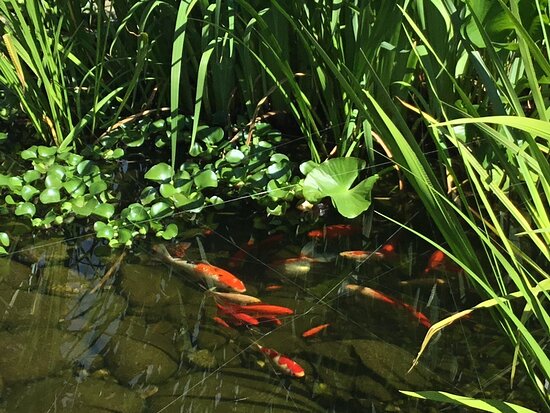 Turtle Island Bed and Breakfast-浴室