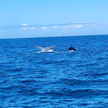 Sunshine Coast Afloat-穆鲁拉巴必去景点