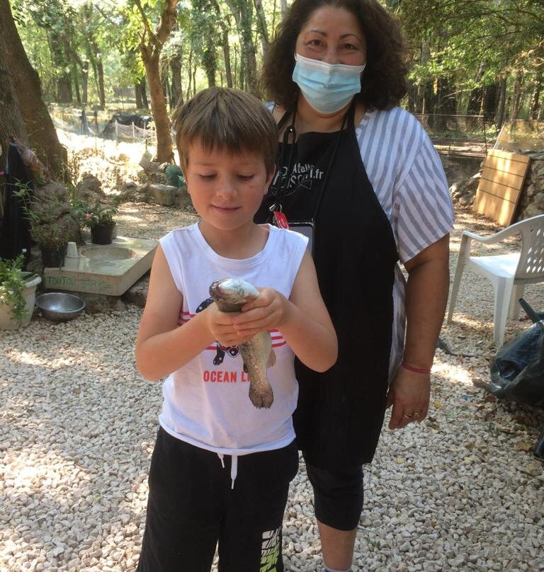 Pisciculture de Signes / Les sources du Gapeau-Signes必去景点