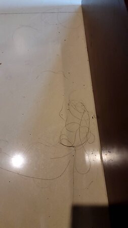 厦门润庭酒店南山路店主图