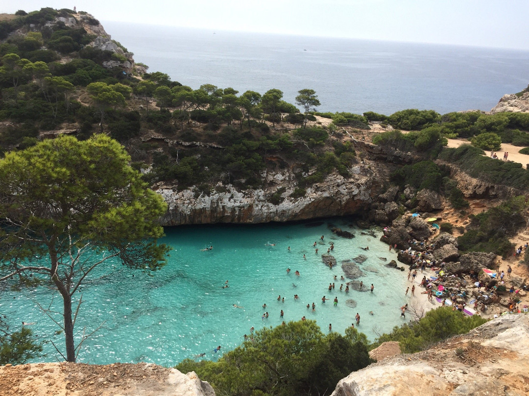 Playa Cala Moros景点图片