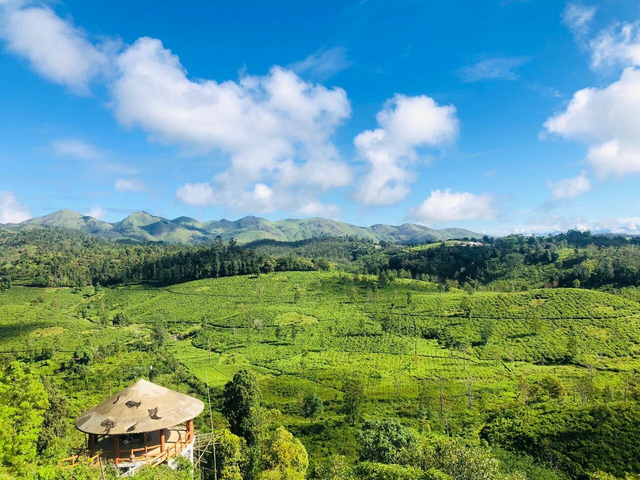 Wild Torrent Resort-酒店景观