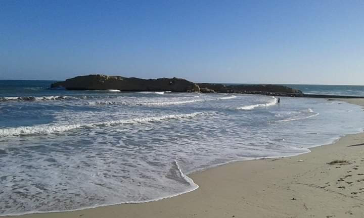 Hôtel Monastir Beach主图