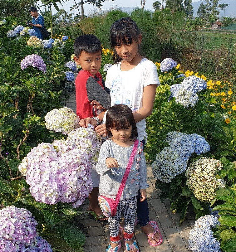 Happy Farm-Ciwidey必去景点