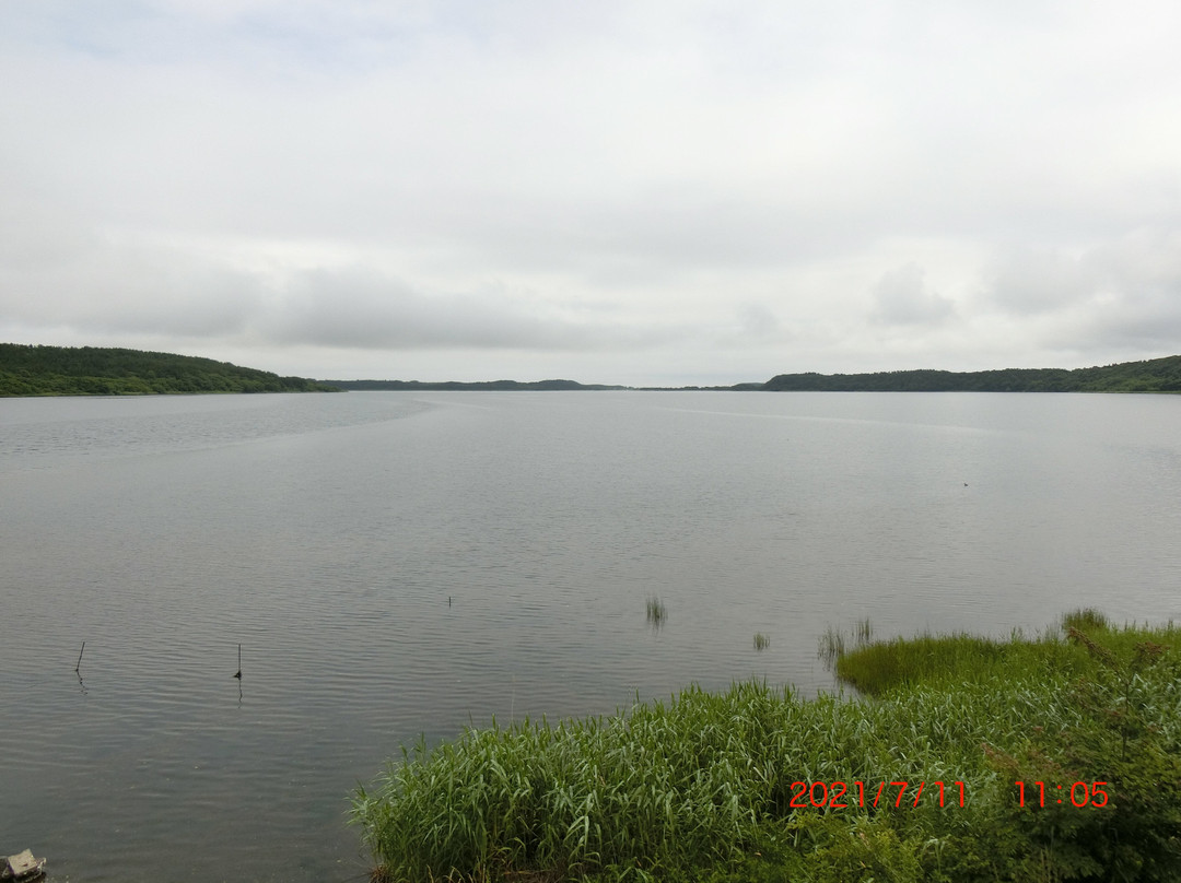 Takahoko Swamp景点图片