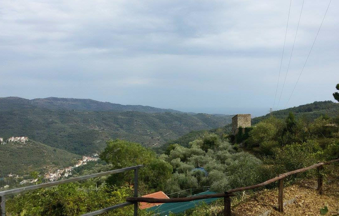 Valloria旅游攻略图片