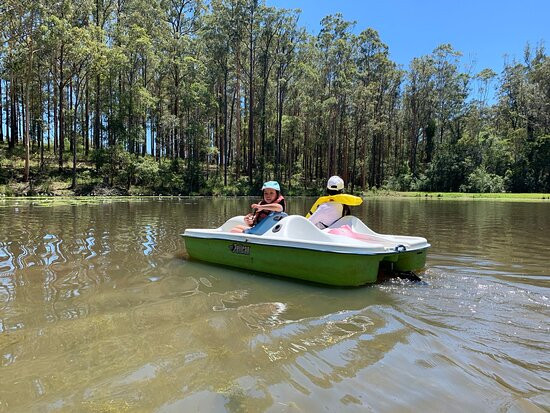Timbertown Wauchope-Wauchope必去景点