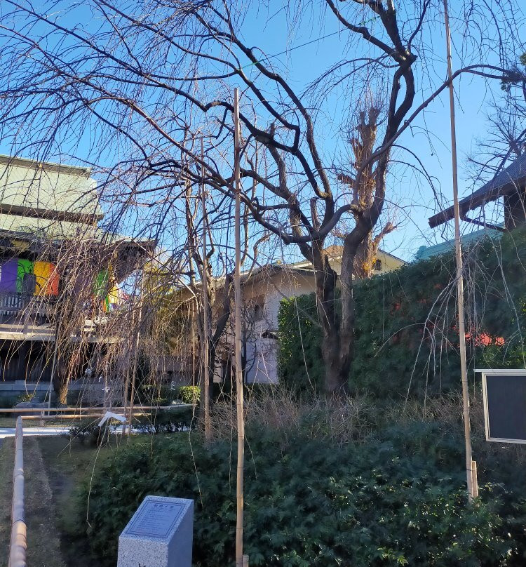 Nanzoin-板桥区必去景点