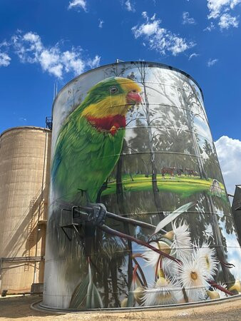 Picola Silo Art-Picola必去景点