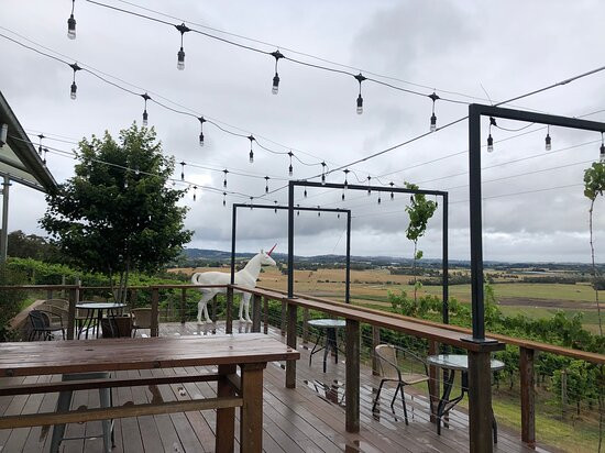 Yarra Valley Private Winery Tours-亚拉河谷必去景点