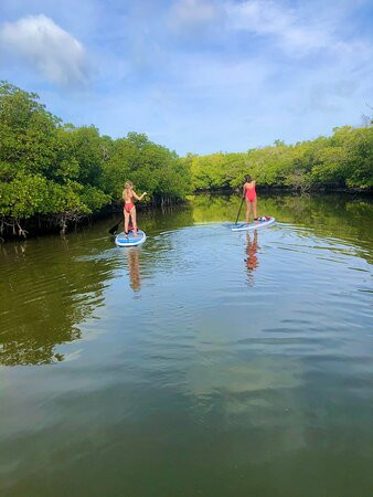 Naples SUP Co-那不勒斯必去景点