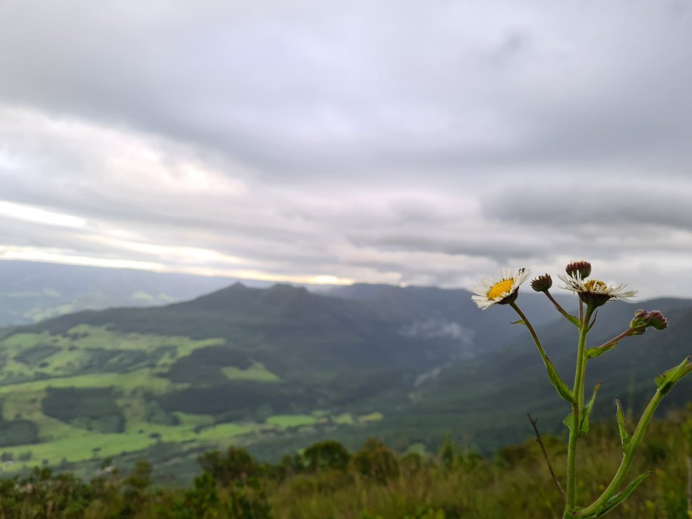 Morro dos Cabritos-Praia Grande必去景点